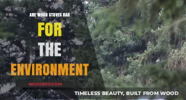 The Environmental Impact of Wood Stoves: A Comprehensive Analysis