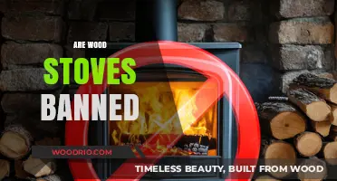 Exploring the Myths and Facts: Are Wood Stoves Banned?