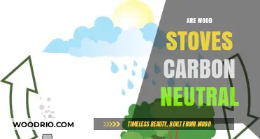 Exploring the Carbon Neutrality of Wood Stoves: Facts and Myths