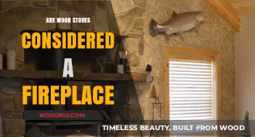 Exploring the Debate: Wood Stoves vs. Traditional Fireplaces