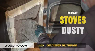 The Truth About Wood Stoves: Debunking the Dust Myth