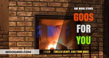 Exploring the Pros and Cons: Are Wood Stoves Right for You?