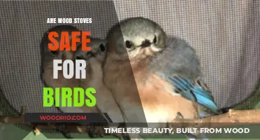 Avian Safety and Wood Stoves: A Comprehensive Guide for Bird Owners