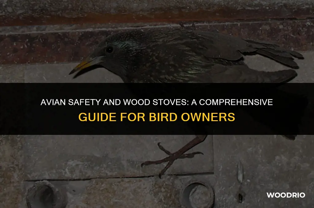 are wood stoves safe for birds