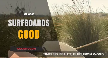 Riding the Waves: The Timeless Appeal of Wood Surfboards