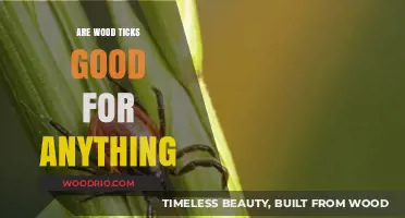 Exploring the Surprising Benefits of Wood Ticks in Ecosystems