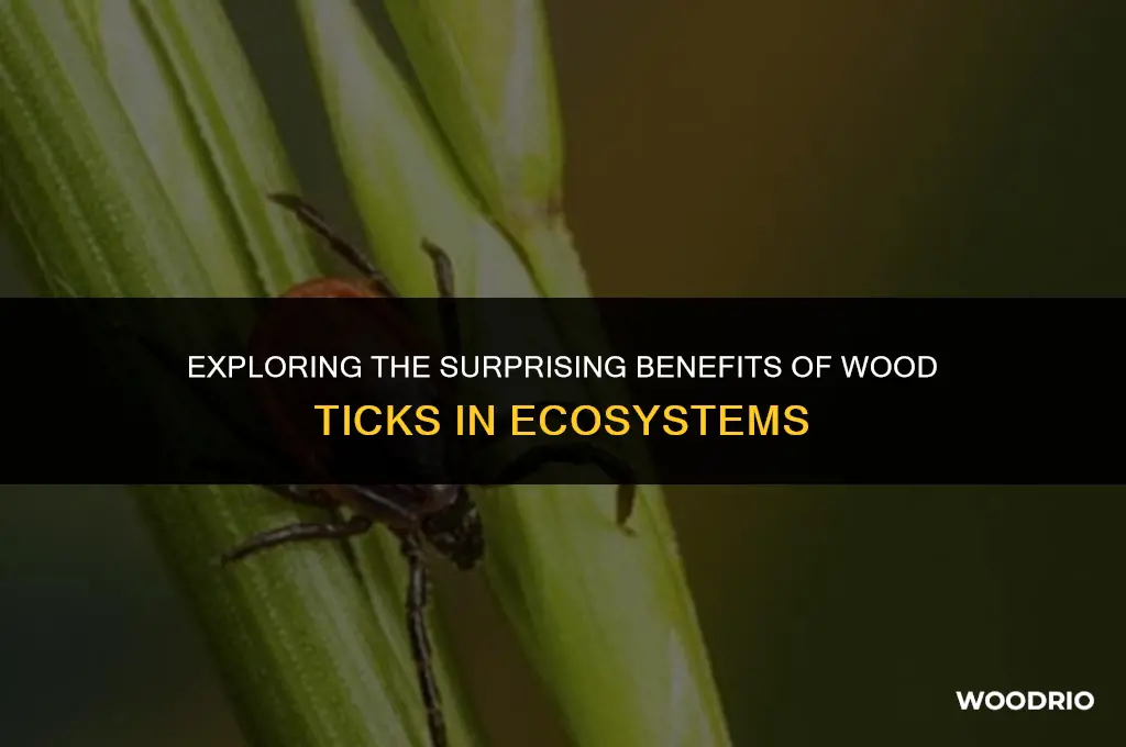 are wood ticks good for anything