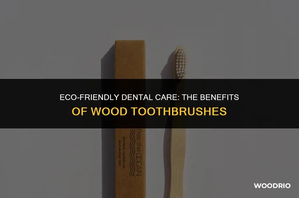 are wood toothbrushes good