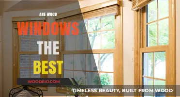 Exploring the Pros and Cons: Are Wood Windows the Best Choice?