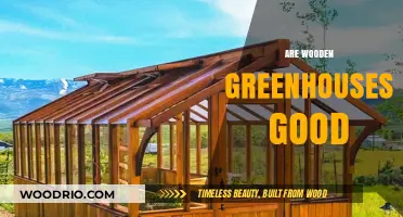 Exploring the Benefits and Drawbacks of Wooden Greenhouses