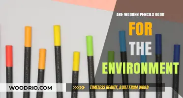 Eco-Friendly Writing: The Surprising Truth About Wooden Pencils
