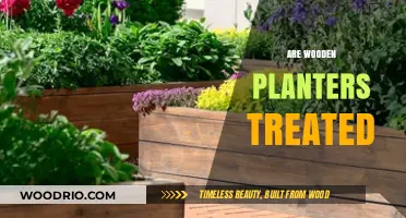 Exploring the Treatment Process of Wooden Planters: A Comprehensive Guide