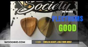 Strumming with Style: The Pros and Cons of Wooden Plectrums