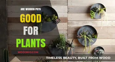 Nurturing Nature: The Benefits and Drawbacks of Wooden Pots for Plants