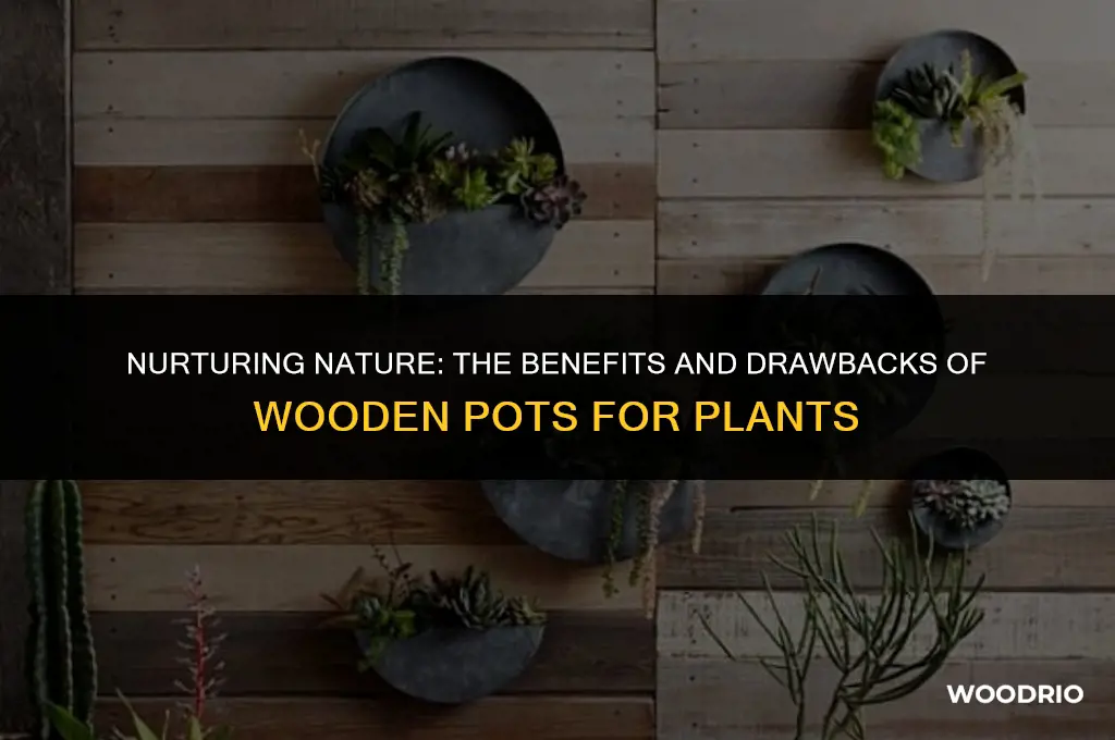 are wooden pots good for plants