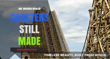 Timeless Charm: The Enduring Craft of Wooden Roller Coasters