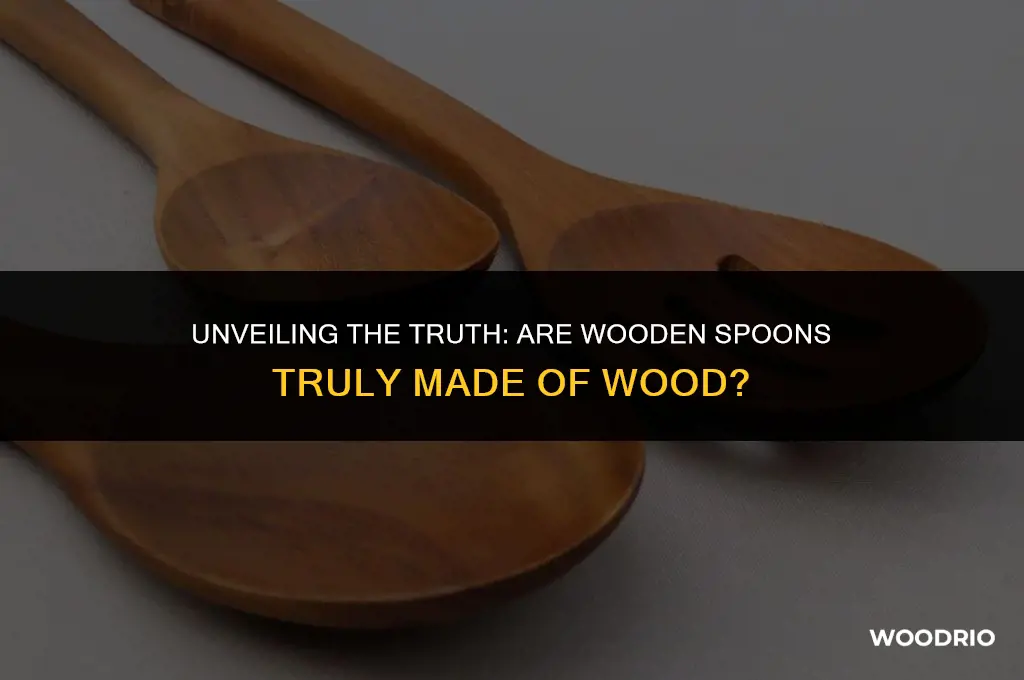 are wooden spoons really made of wood