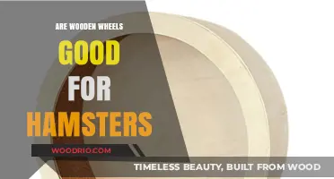 Hamster Wheel Dilemma: The Pros and Cons of Wooden Wheels