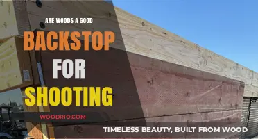 Exploring the Safety and Effectiveness of Using Woods as a Backstop for Shooting Practice