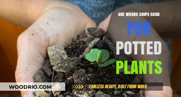 Nurturing Growth: The Benefits of Wood Chips for Potted Plants