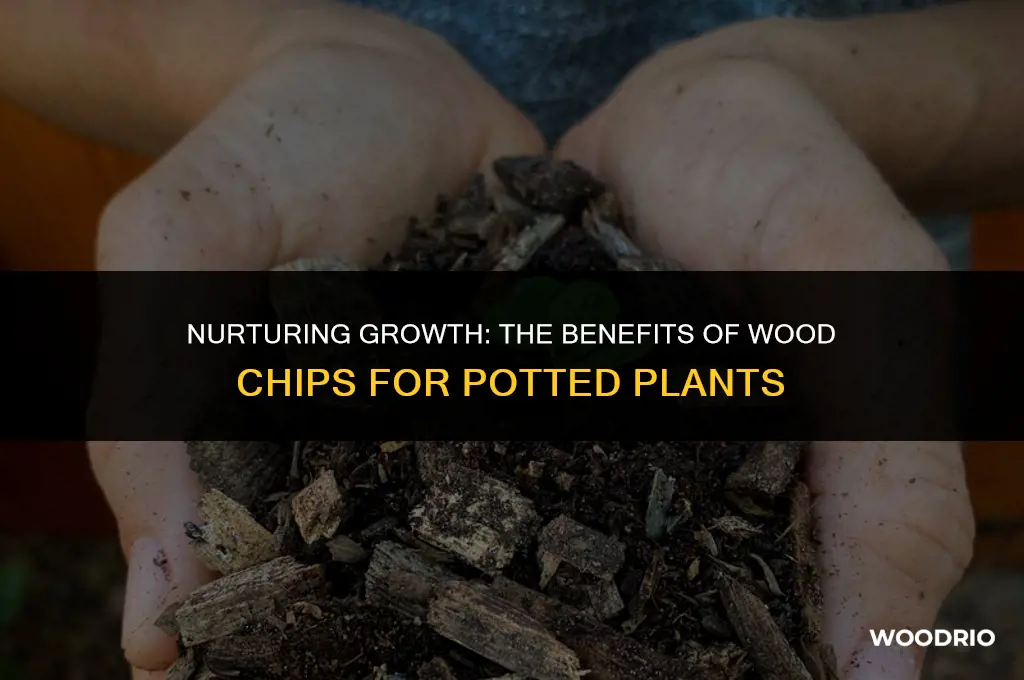 are woods chips good for potted plants