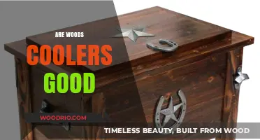 Exploring the Pros and Cons of Wood Coolers: A Comprehensive Guide