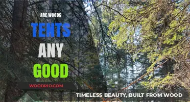 Exploring the Great Outdoors: A Honest Review of Wood Tents