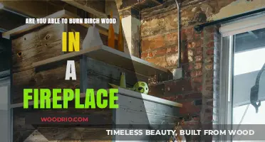 Cozy Up with Birch: A Guide to Burning Birch Wood in Your Fireplace