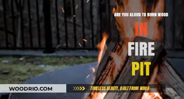 Exploring Fire Pit Regulations: Is Wood Burning Allowed?