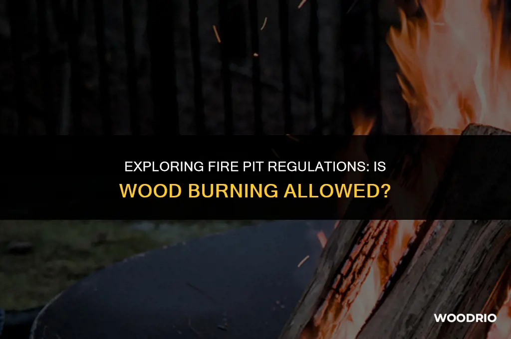 are you aloud to burn wood in fire pit
