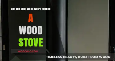 Why Your Wood Won't Burn: Troubleshooting Wood Stove Issues