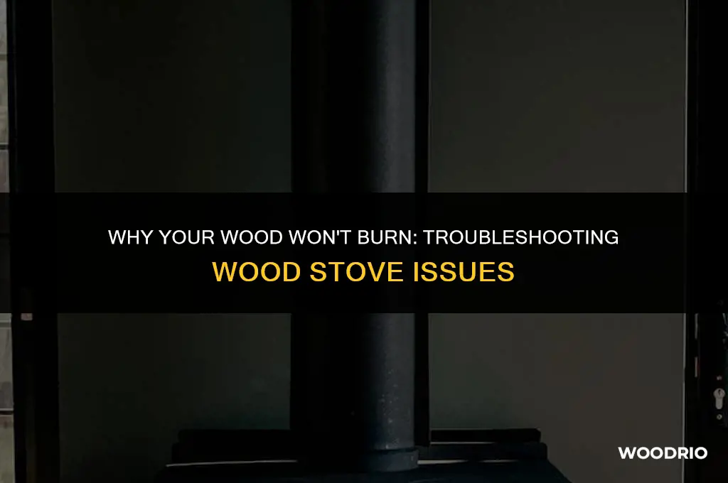 are you send wood won