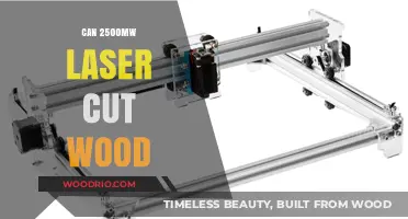 Precision and Power: Can a 2500MW Laser Cutter Revolutionize Woodworking?