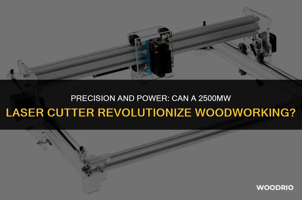 can 2500mw laser cut wood