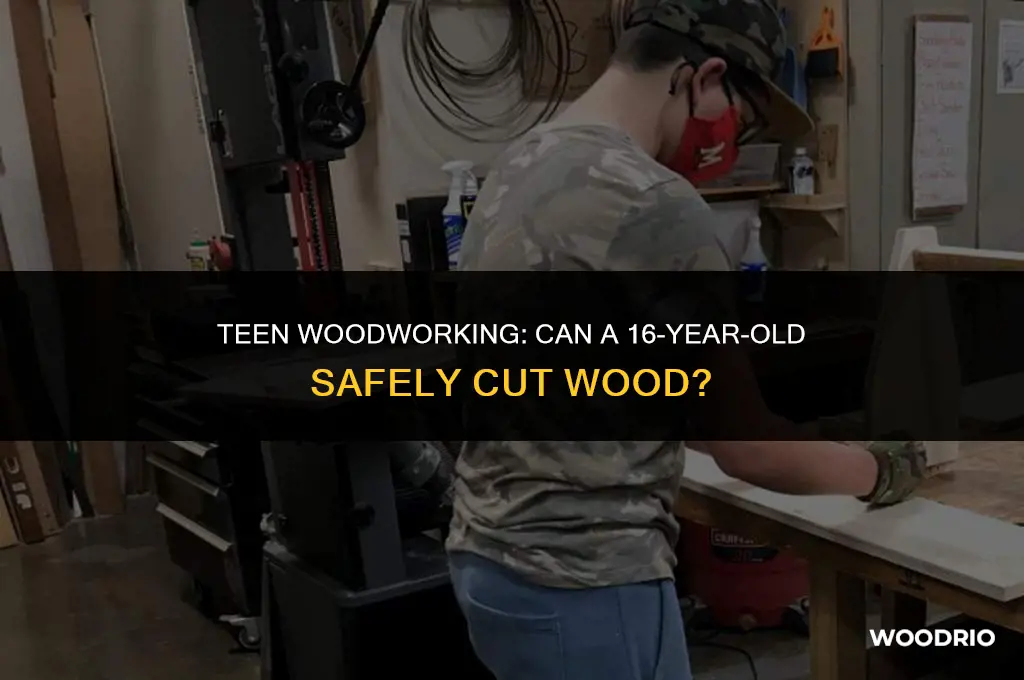 can a 16 year old cut wood