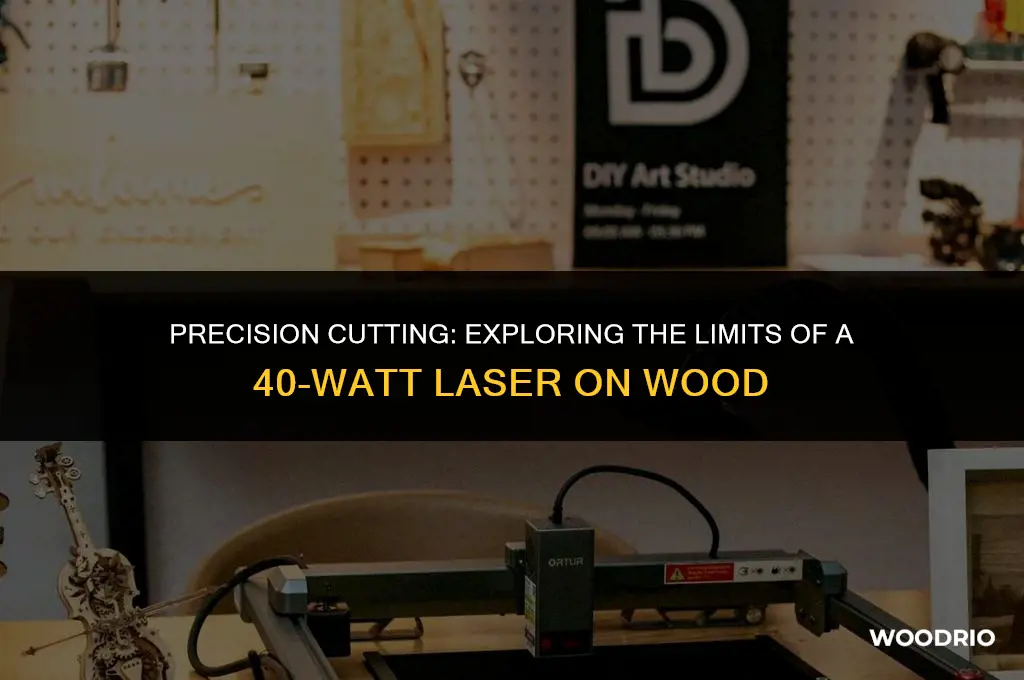 can a 40 watt laser cut 1 4 inch wood