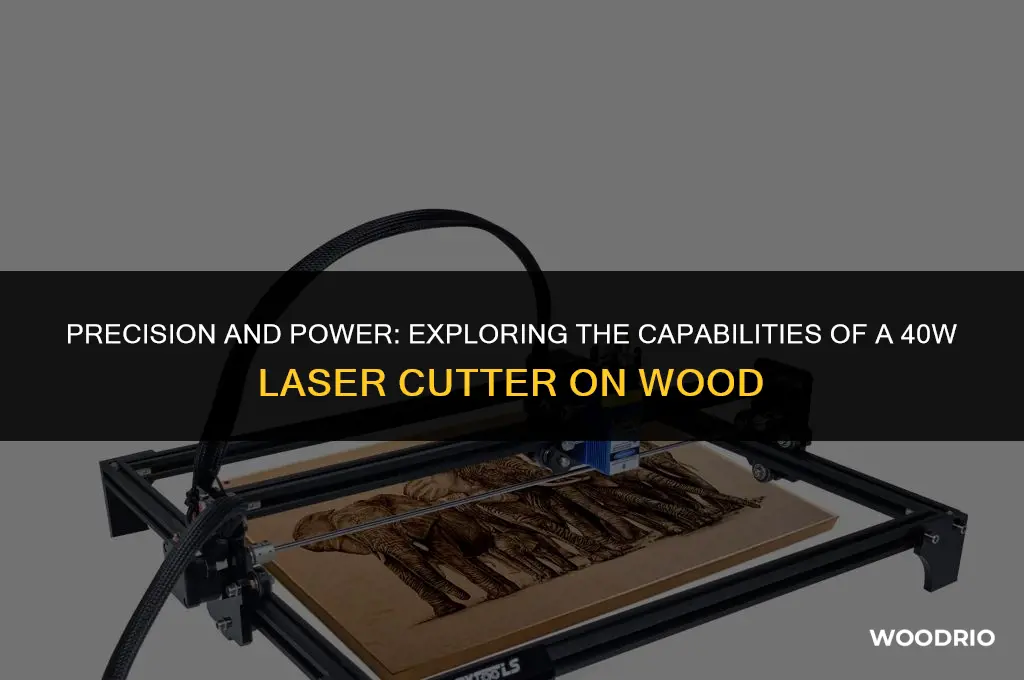 can a 40w laser cut wood