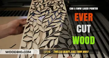 Exploring the Limits: Can a Laser Pointer Cut Wood?