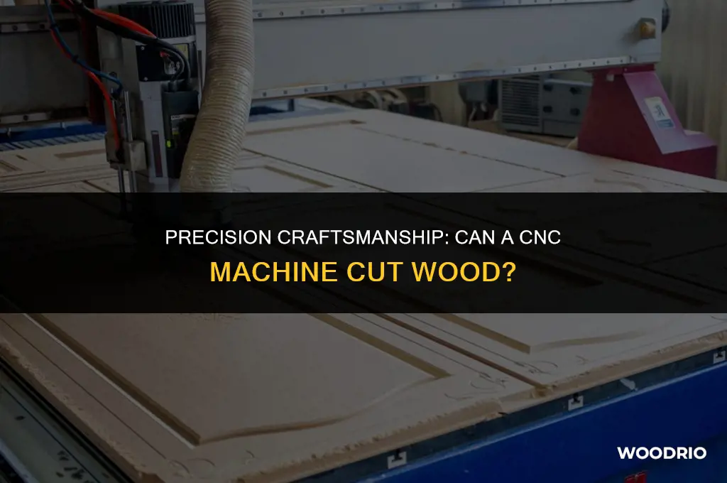 can a cnc machine cut wood