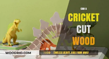 Exploring the Surprising Strength of Crickets: Can They Really Cut Wood?