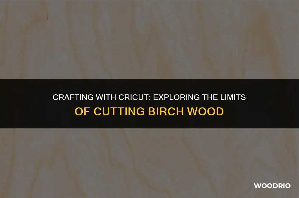 can a cricut cut birch wood