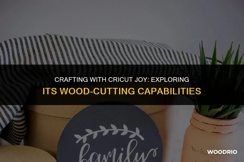 can a cricut joy cut wood