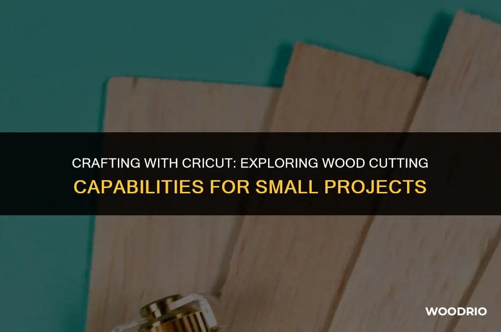 can a cricut machine cut small wood