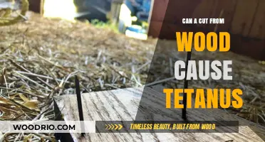 Tetanus Risk: Understanding the Dangers of Wood Splinters and Cuts