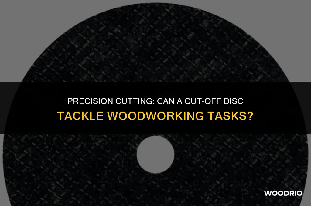 can a cut off disc cut wood