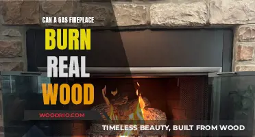 Exploring the Possibility: Can Gas Fireplaces Accommodate Real Wood?