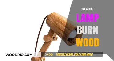 Exploring the Limits: Can a Heat Lamp Ignite Wood?