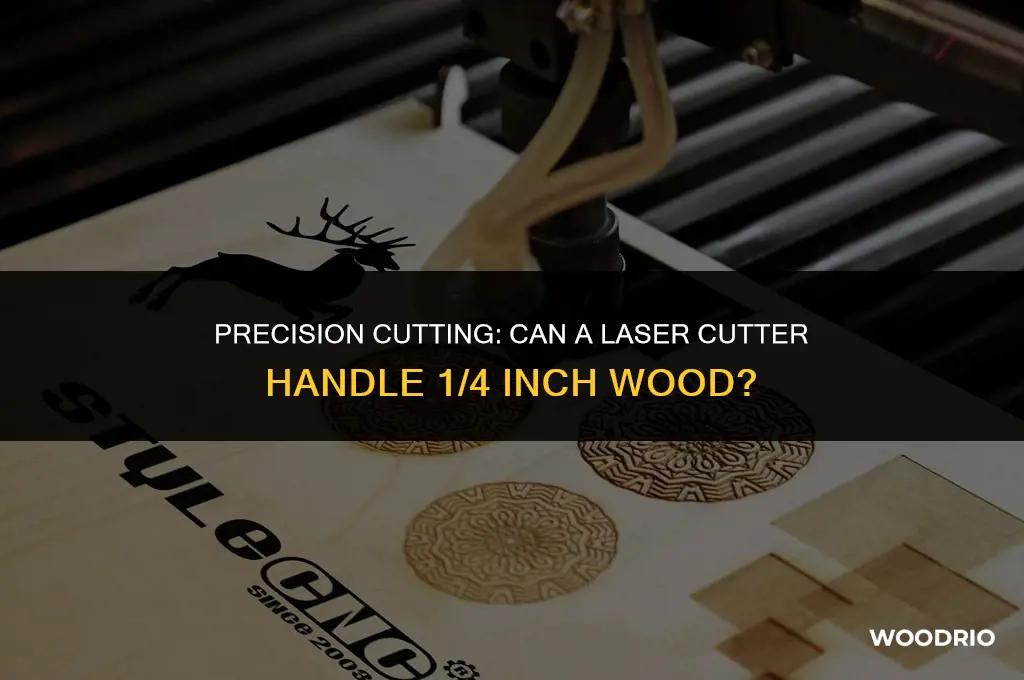 can a laser cutter cut 1 4 wood nc state