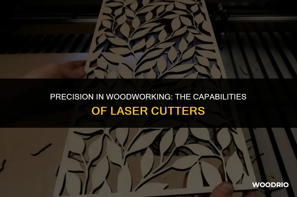 can a laser cutter cut wood
