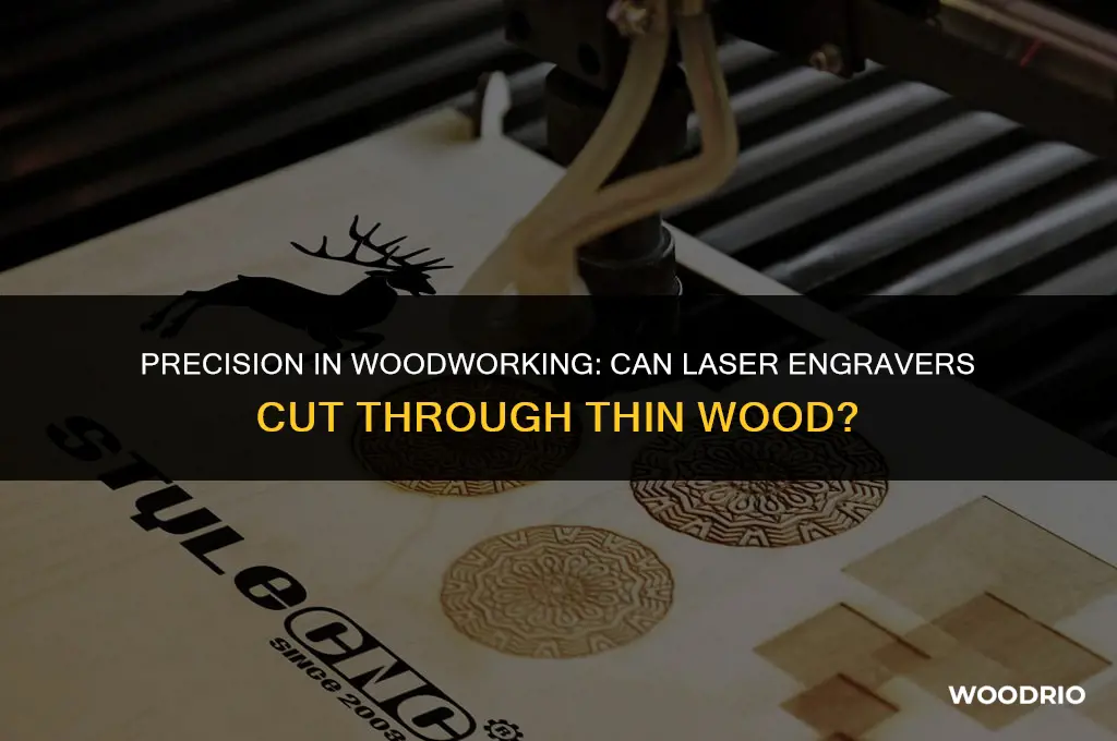 can a laser engraver cut through thin wood